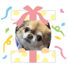 [LINEスタンプ] ののあの