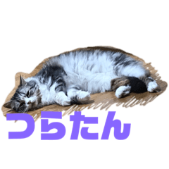 [LINEスタンプ] ウルのギャル語スタンプ