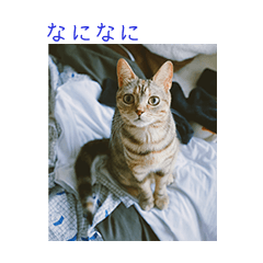[LINEスタンプ] okinanee 01