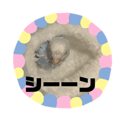 [LINEスタンプ] 夏冬バージョン