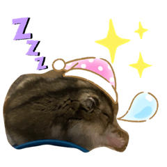 [LINEスタンプ] てるハム＆モカの表情