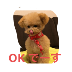 [LINEスタンプ] おさとGP