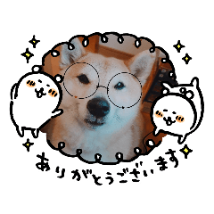 [LINEスタンプ] こすずスタンプkosuzu
