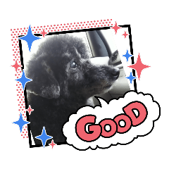 [LINEスタンプ] ナナちゃんず