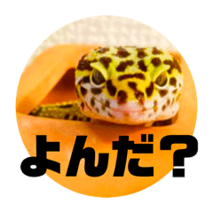 [LINEスタンプ] レオパのペロたん