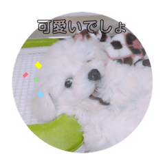[LINEスタンプ] ミルクの可愛いスタンプ