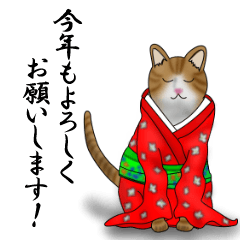 [LINEスタンプ] 茶トラ白猫の日常 冬