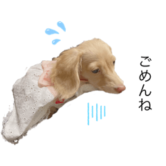 [LINEスタンプ] ひめちゃまのスタンプ