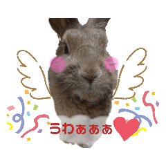 [LINEスタンプ] うさぎのもこ(受験バージョン)