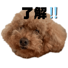 [LINEスタンプ] モコリリ①