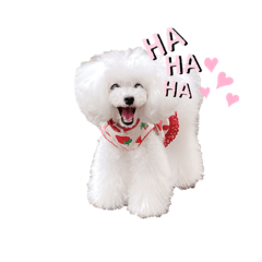 [LINEスタンプ] 白ぷー♡シュッたん