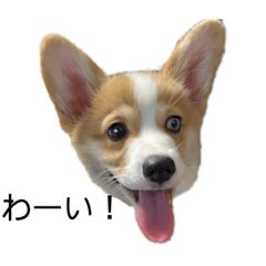 [LINEスタンプ] ボクベッカム