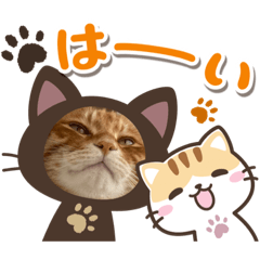 [LINEスタンプ] Ginger Tabby Cat Brothers 12