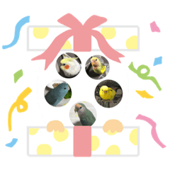 [LINEスタンプ] 5鳥ちゃん
