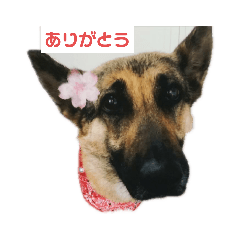 [LINEスタンプ] グリーンファミリー3