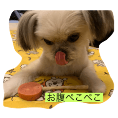 [LINEスタンプ] 和牛ちゃん4