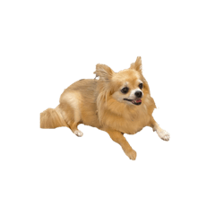 [LINEスタンプ] デーーーーール