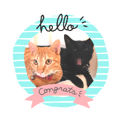 [LINEスタンプ] いつも一緒！姉妹猫ピノミルクの毎日