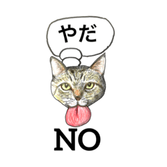 [LINEスタンプ] アクの強い ネコ たち 1 基本編 ver2