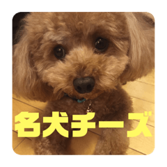 [LINEスタンプ] レックアンドチーズ(チーズメイン)