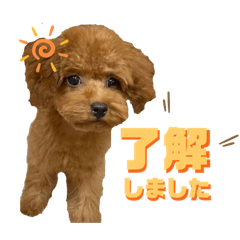[LINEスタンプ] すぅちゃんスタンプ②