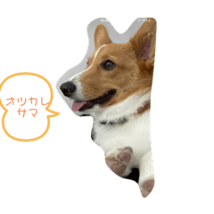 [LINEスタンプ] ★りんご★