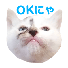 [LINEスタンプ] mimo stamp ①