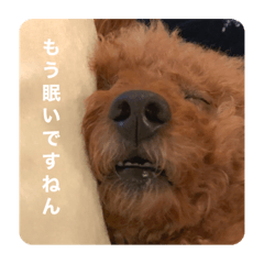 [LINEスタンプ] Nまろん。1
