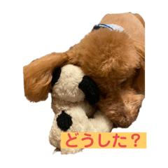 [LINEスタンプ] MORIショコラ