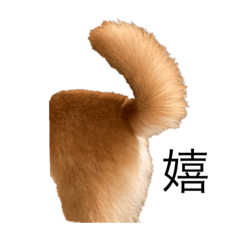 [LINEスタンプ] 誇り高き柴犬