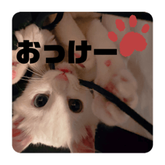 [LINEスタンプ] 井戸中ちくわスタンプ2