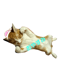 [LINEスタンプ] ひなたくんスタンプ2