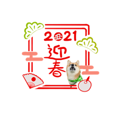 [LINEスタンプ] 仲良し三兄弟【犬】