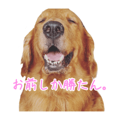[LINEスタンプ] しょうもな卍