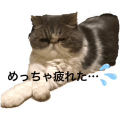 [LINEスタンプ] ミキリリー
