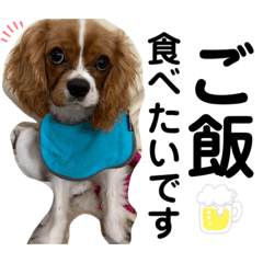 [LINEスタンプ] あほ犬マックス