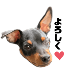 [LINEスタンプ] ROI②