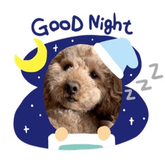 [LINEスタンプ] うちのにゃんぽち①