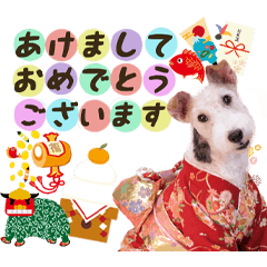 [LINEスタンプ] 毎年使える はっぴぃテリアのXmas ＆お正月