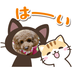 [LINEスタンプ] 愛月と空パート7
