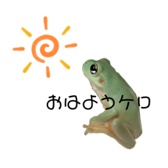 [LINEスタンプ] イエアメガエル あいさつ編