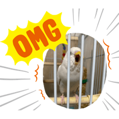 [LINEスタンプ] きなこ第2弾！