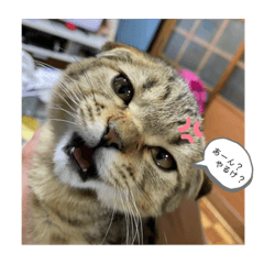 [LINEスタンプ] 姫とじゃがいも