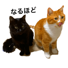 [LINEスタンプ] sakaguchi animal's with boss