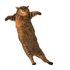 [LINEスタンプ] 〜キヨの日常〜