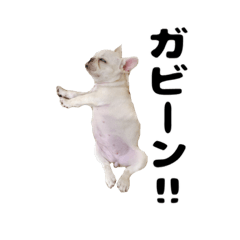 [LINEスタンプ] ミラ専用スタンプ2