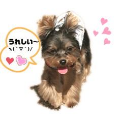 [LINEスタンプ] 茶まめのまめちゃん3