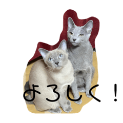 [LINEスタンプ] ちゃおちゅる