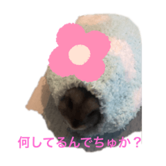 [LINEスタンプ] 栗ちゃんの日常日記♡