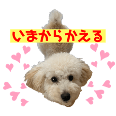 [LINEスタンプ] SUNNYのスタンプ2